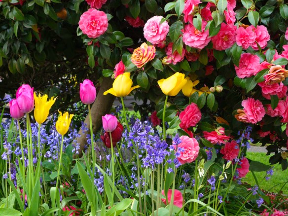 DSC02897-Edit_edited-1