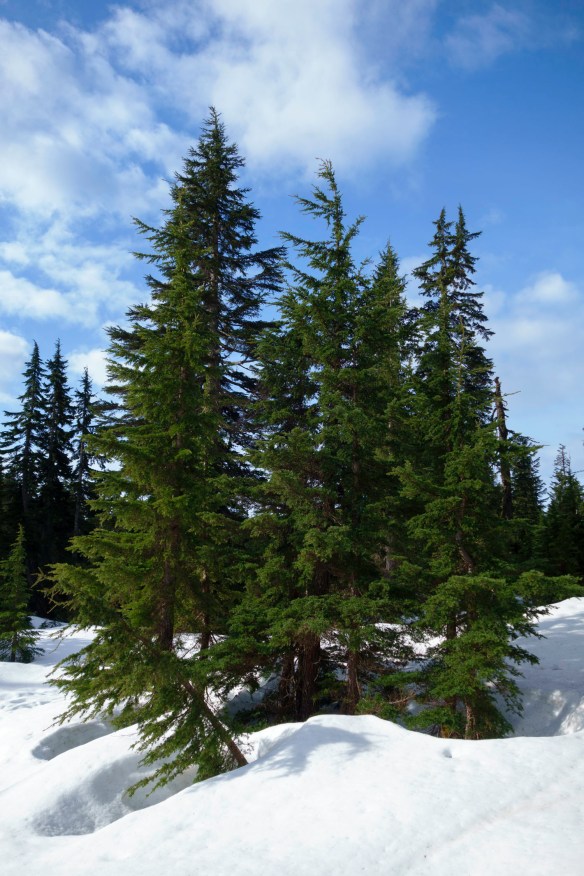 DSC02901-Edit_edited-1